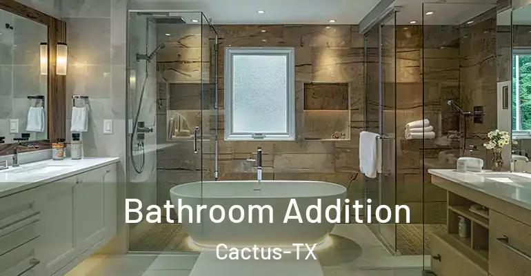 inner Bathroom imggen Bathroom Addition Cactus-TX