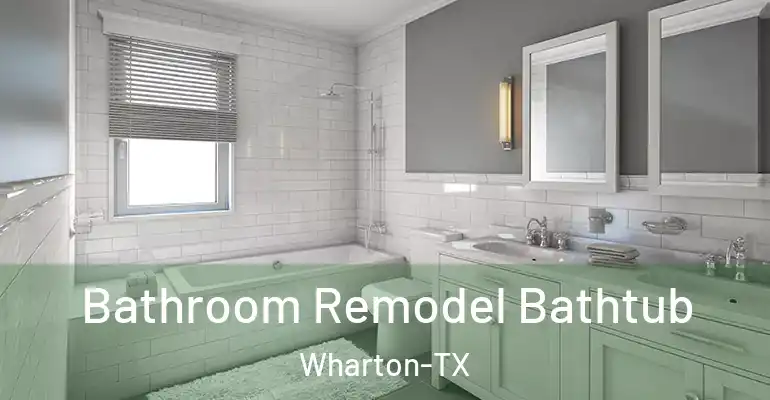 inner Bathroom imggen Bathroom Remodel Bathtub Wharton-TX