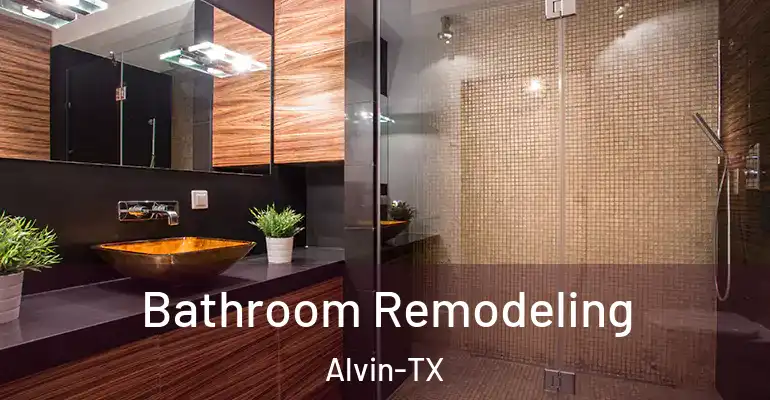 inner Bathroom imggen Bathroom Remodeling Alvin-TX