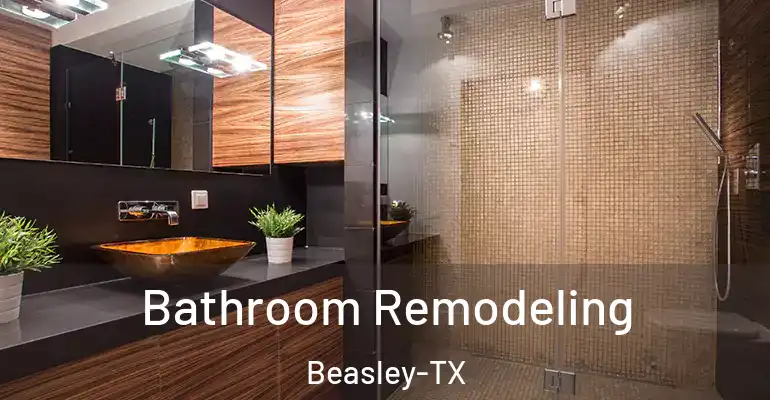 inner Bathroom imggen Bathroom Remodeling Beasley-TX