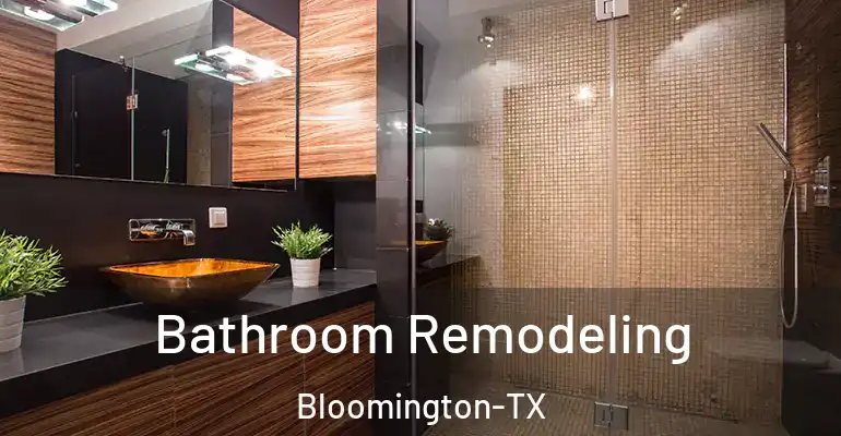 inner Bathroom imggen Bathroom Remodeling Bloomington-TX