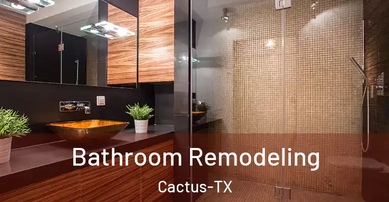 inner Bathroom imggen Bathroom Remodeling Cactus-TX