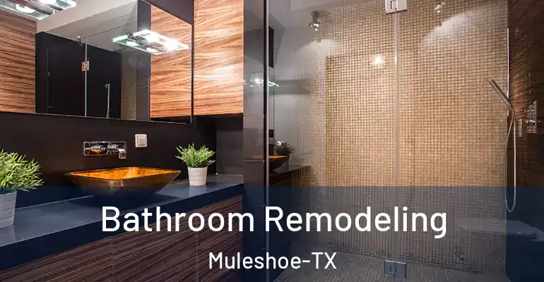 inner Bathroom imggen Bathroom Remodeling Muleshoe-TX