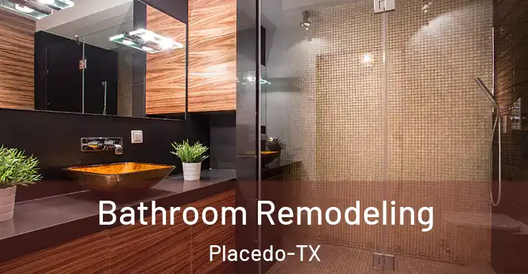 inner Bathroom imggen Bathroom Remodeling Placedo-TX