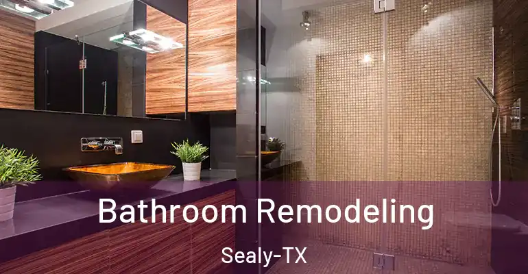 inner Bathroom imggen Bathroom Remodeling Sealy-TX