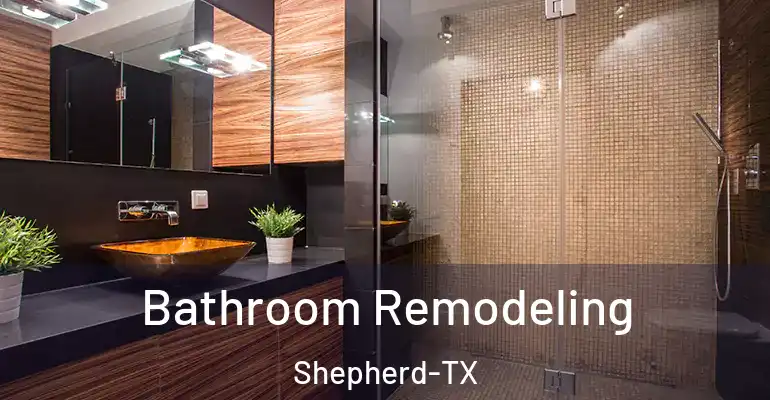 inner Bathroom imggen Bathroom Remodeling Shepherd-TX