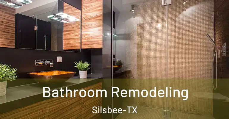 inner Bathroom imggen Bathroom Remodeling Silsbee-TX