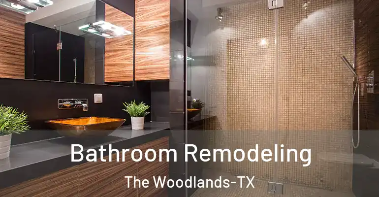 inner Bathroom imggen Bathroom Remodeling The Woodlands-TX