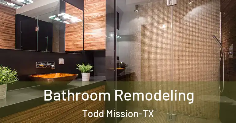 inner Bathroom imggen Bathroom Remodeling Todd Mission-TX