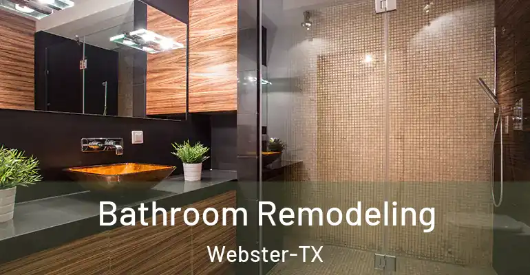 inner Bathroom imggen Bathroom Remodeling Webster-TX