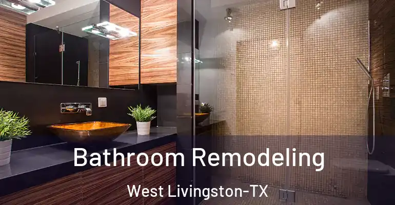 inner Bathroom imggen Bathroom Remodeling West Livingston-TX
