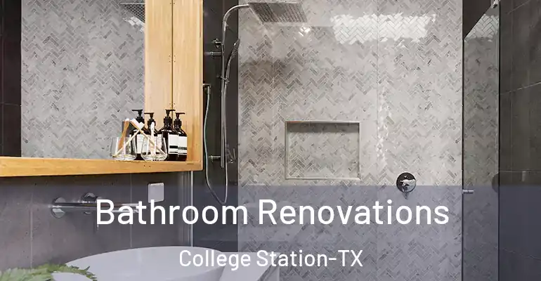 inner Bathroom imggen Bathroom Renovations College Station-TX