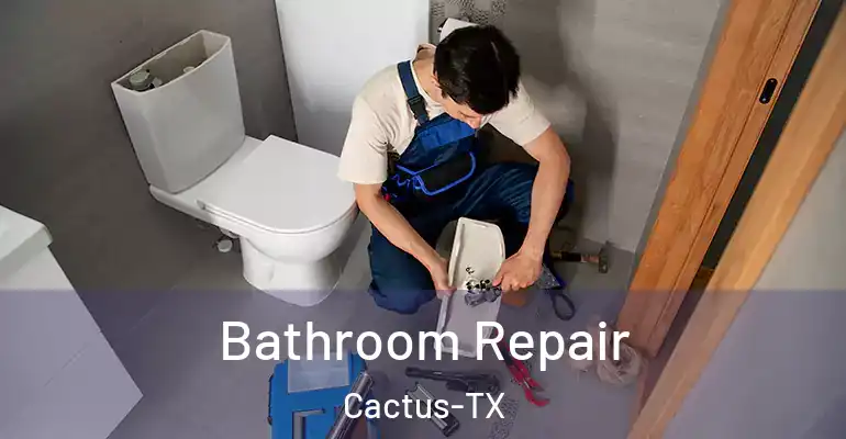 inner Bathroom imggen Bathroom Repair Cactus-TX