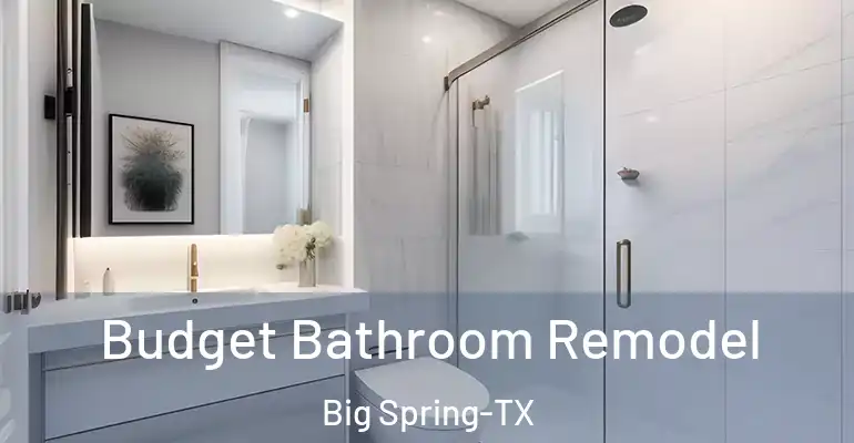 inner Bathroom imggen Budget Bathroom Remodel Big Spring-TX