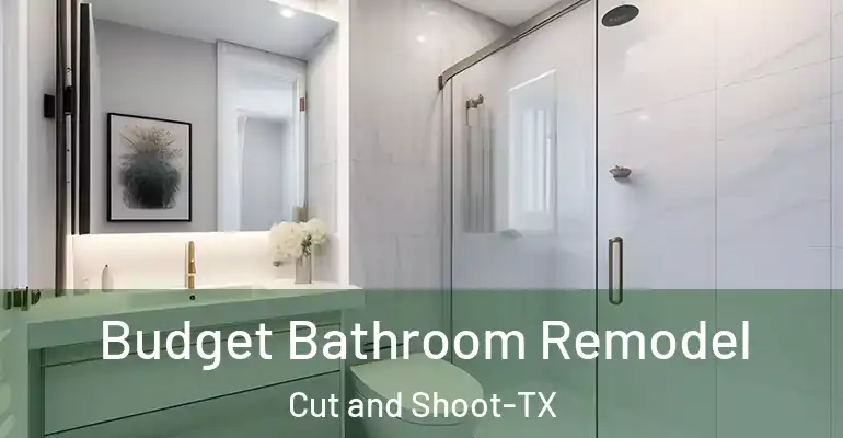 inner Bathroom imggen Budget Bathroom Remodel Cut and Shoot-TX