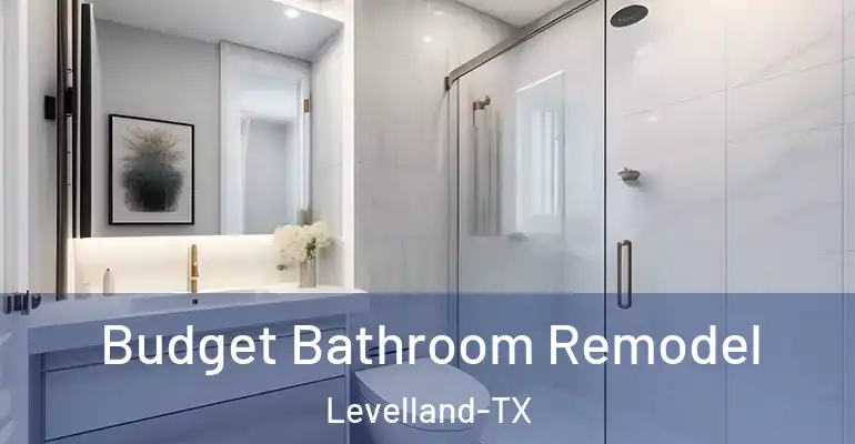 inner Bathroom imggen Budget Bathroom Remodel Levelland-TX