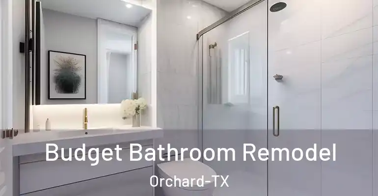 inner Bathroom imggen Budget Bathroom Remodel Orchard-TX