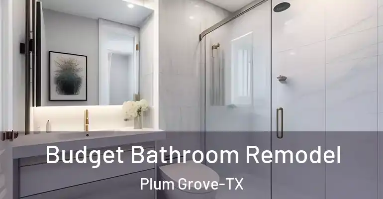 inner Bathroom imggen Budget Bathroom Remodel Plum Grove-TX