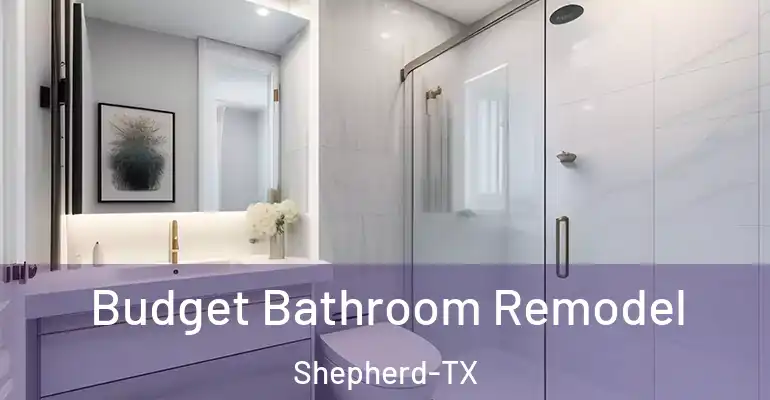 inner Bathroom imggen Budget Bathroom Remodel Shepherd-TX