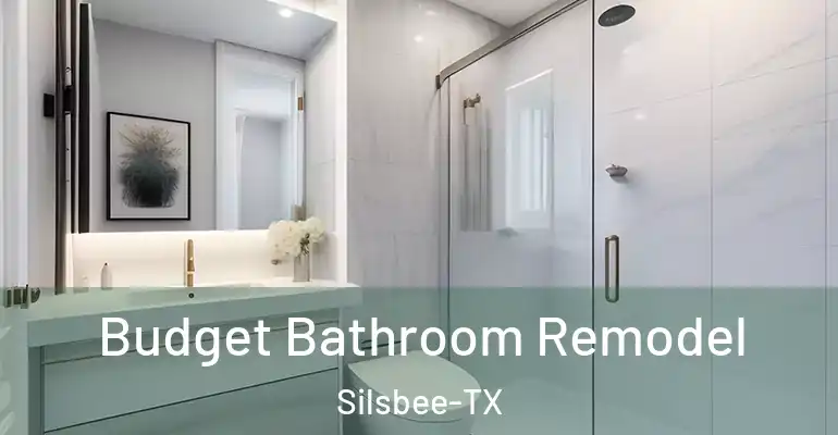 inner Bathroom imggen Budget Bathroom Remodel Silsbee-TX