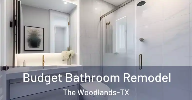 inner Bathroom imggen Budget Bathroom Remodel The Woodlands-TX