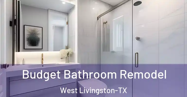 inner Bathroom imggen Budget Bathroom Remodel West Livingston-TX