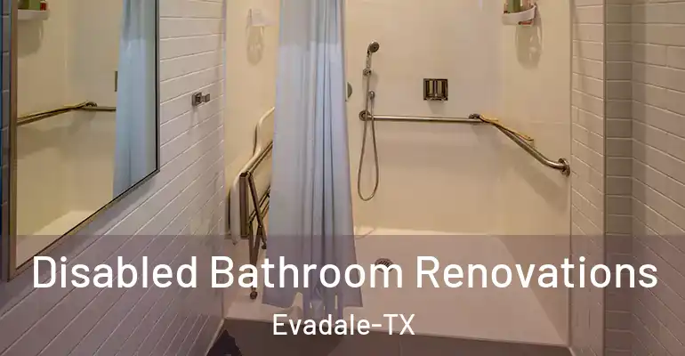 inner Bathroom imggen Disabled Bathroom Renovations Evadale-TX