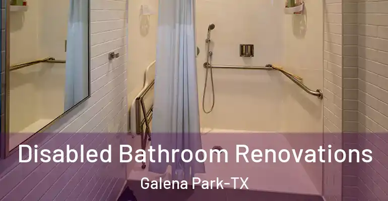 inner Bathroom imggen Disabled Bathroom Renovations Galena Park-TX