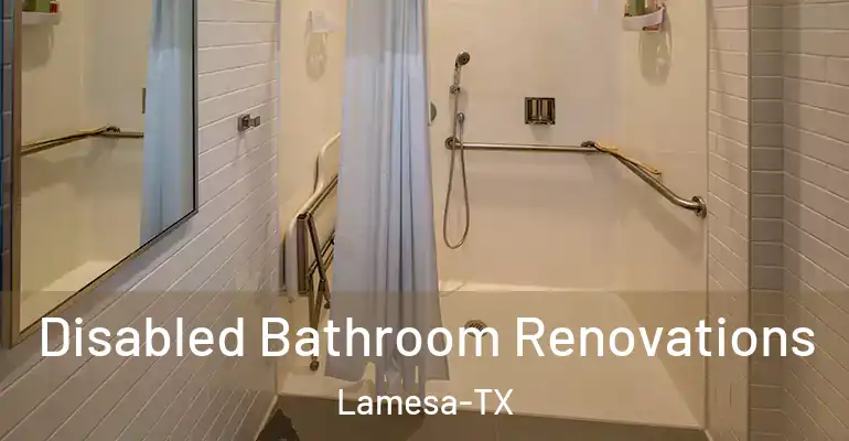 inner Bathroom imggen Disabled Bathroom Renovations Lamesa-TX