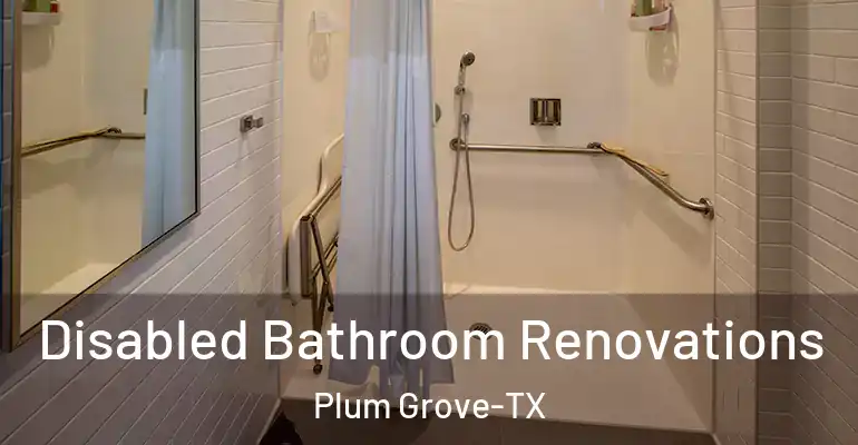 inner Bathroom imggen Disabled Bathroom Renovations Plum Grove-TX