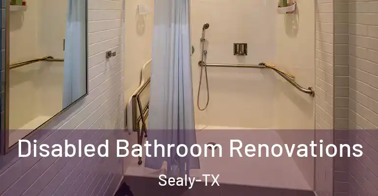 inner Bathroom imggen Disabled Bathroom Renovations Sealy-TX