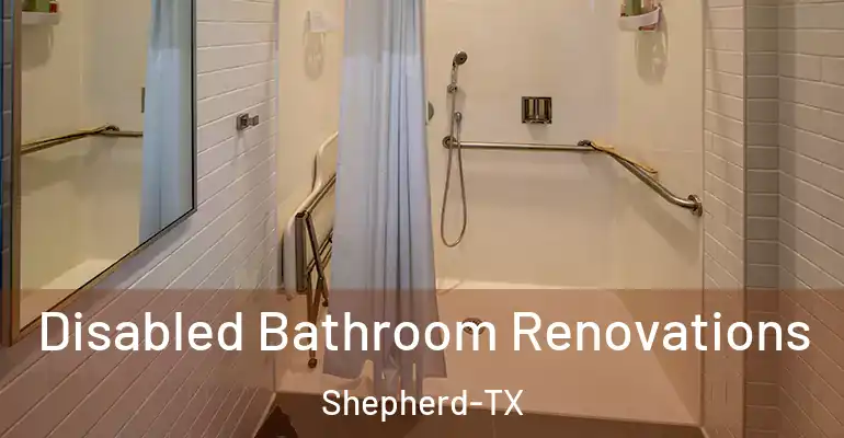 inner Bathroom imggen Disabled Bathroom Renovations Shepherd-TX