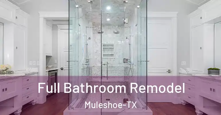 inner Bathroom imggen Full Bathroom Remodel Muleshoe-TX