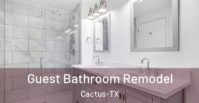 inner Bathroom imggen Guest Bathroom Remodel Cactus-TX
