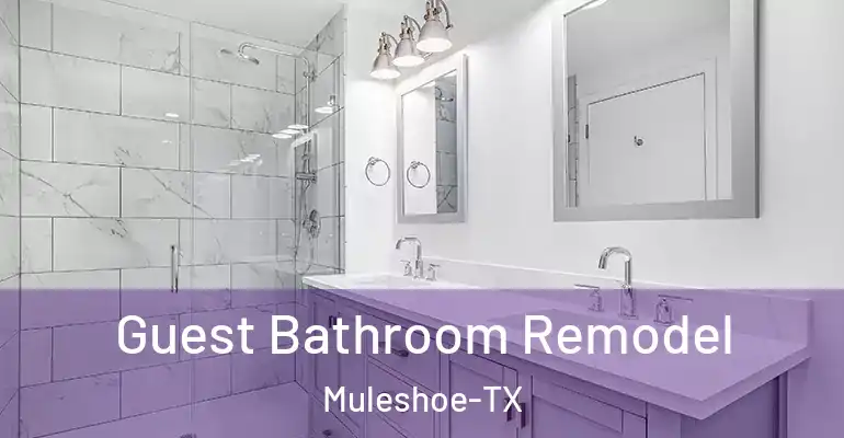 inner Bathroom imggen Guest Bathroom Remodel Muleshoe-TX