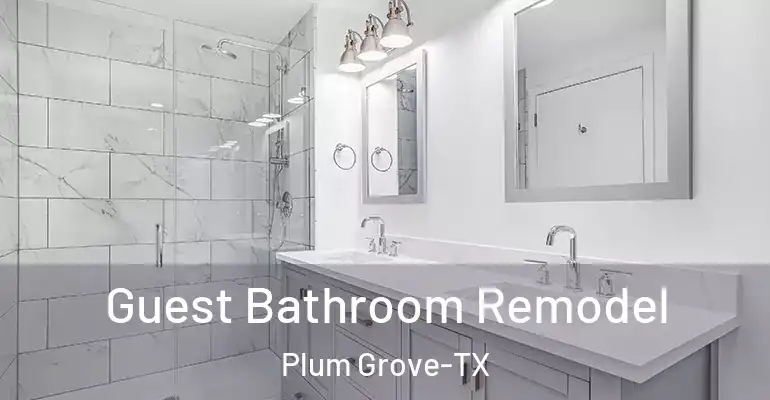 inner Bathroom imggen Guest Bathroom Remodel Plum Grove-TX