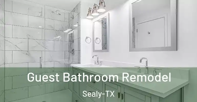 inner Bathroom imggen Guest Bathroom Remodel Sealy-TX