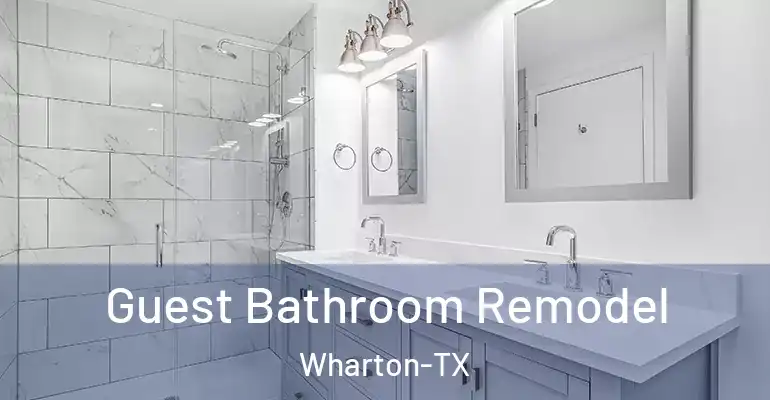 inner Bathroom imggen Guest Bathroom Remodel Wharton-TX