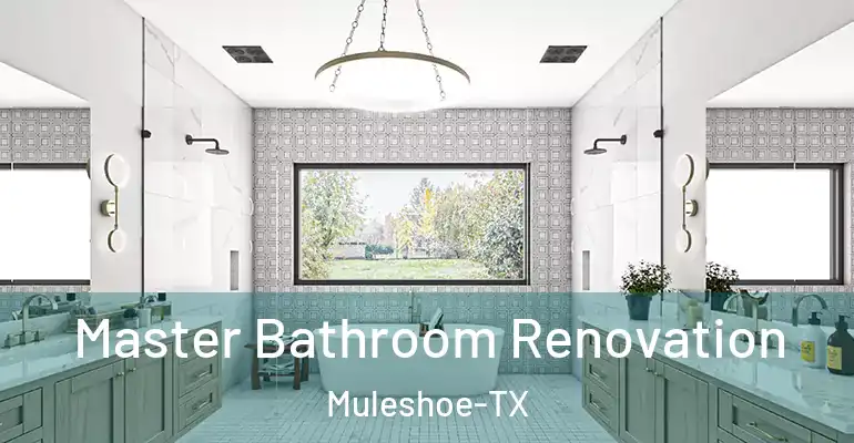 inner Bathroom imggen Master Bathroom Renovation Muleshoe-TX
