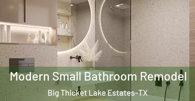 inner Bathroom imggen Modern Small Bathroom Remodel Big Thicket Lake Estates-TX