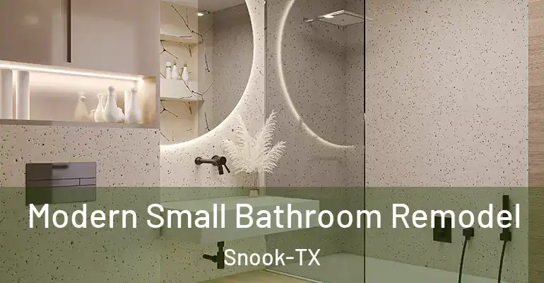 inner Bathroom imggen Modern Small Bathroom Remodel Snook-TX