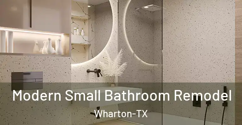 inner Bathroom imggen Modern Small Bathroom Remodel Wharton-TX