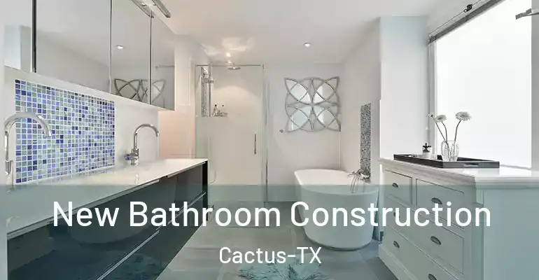 inner Bathroom imggen New Bathroom Construction Cactus-TX