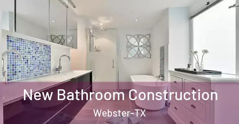 inner Bathroom imggen New Bathroom Construction Webster-TX