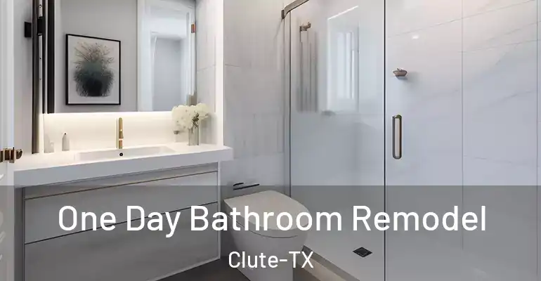 inner Bathroom imggen One Day Bathroom Remodel Clute-TX