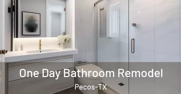 inner Bathroom imggen One Day Bathroom Remodel Pecos-TX