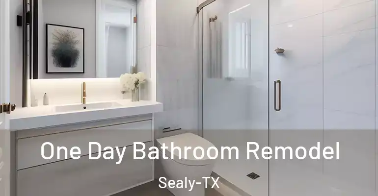 inner Bathroom imggen One Day Bathroom Remodel Sealy-TX