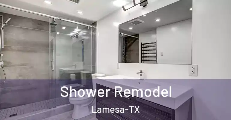 inner Bathroom imggen Shower Remodel Lamesa-TX