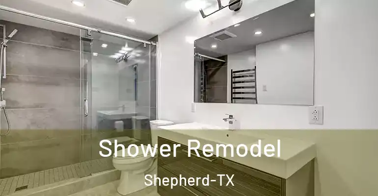 inner Bathroom imggen Shower Remodel Shepherd-TX