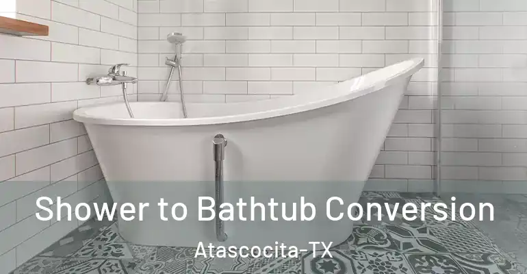 inner Bathroom imggen Shower to Bathtub Conversion Atascocita-TX